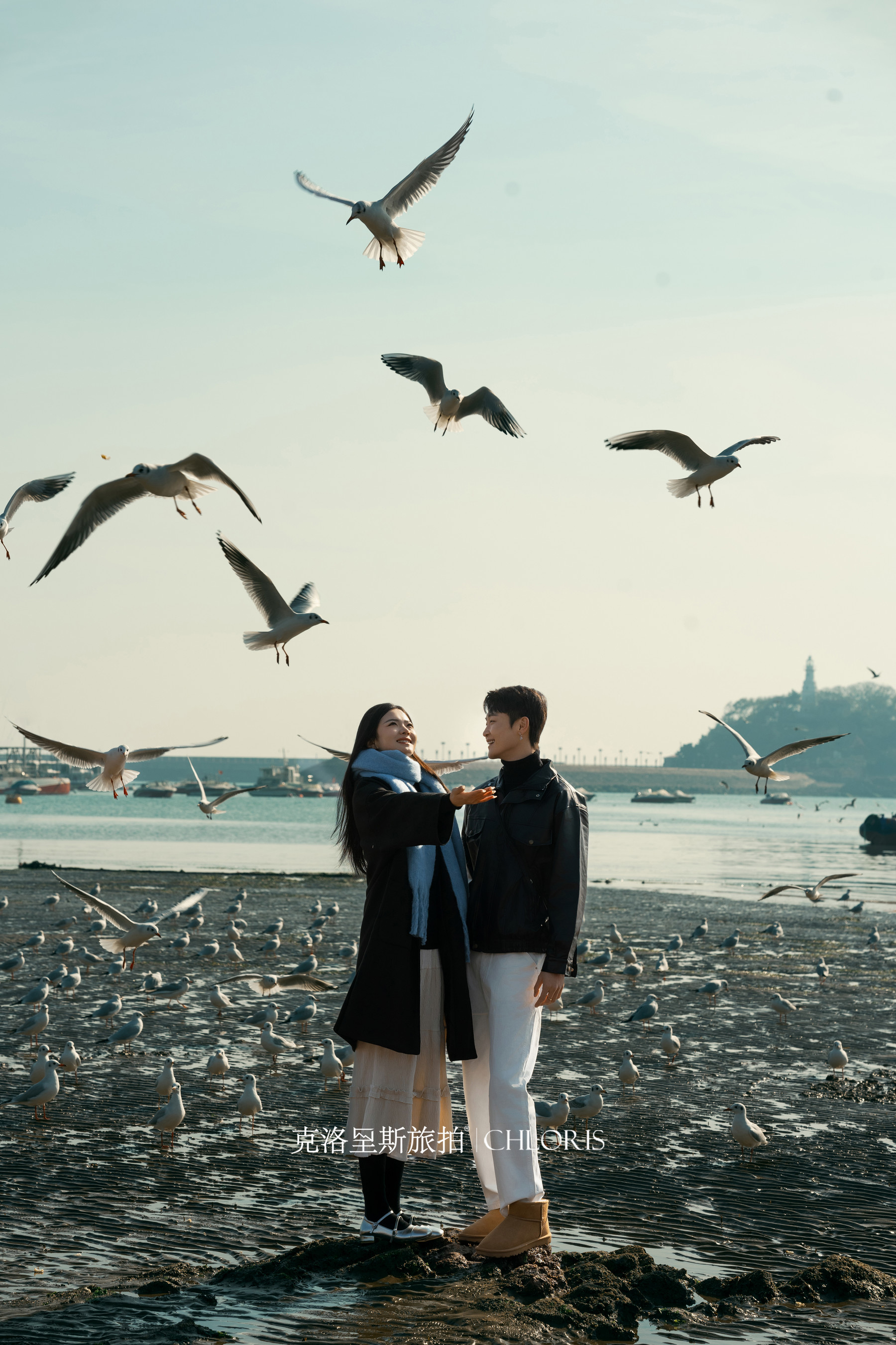 冬季-海鸥婚纱照2